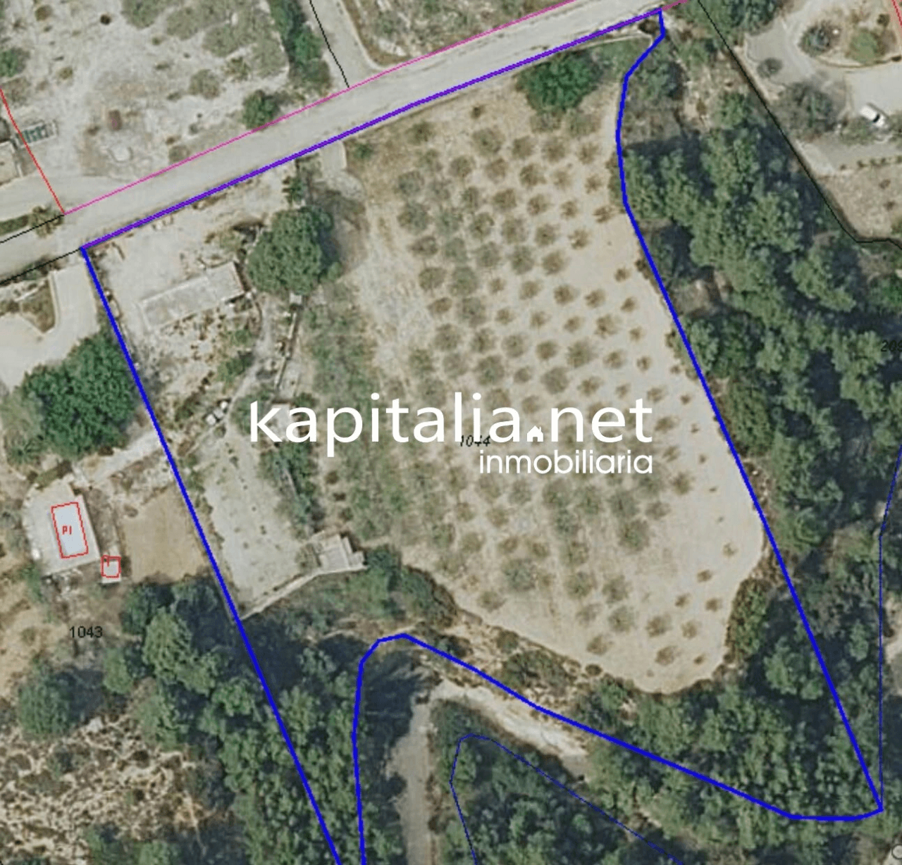 Property for Sale in Ontinyent