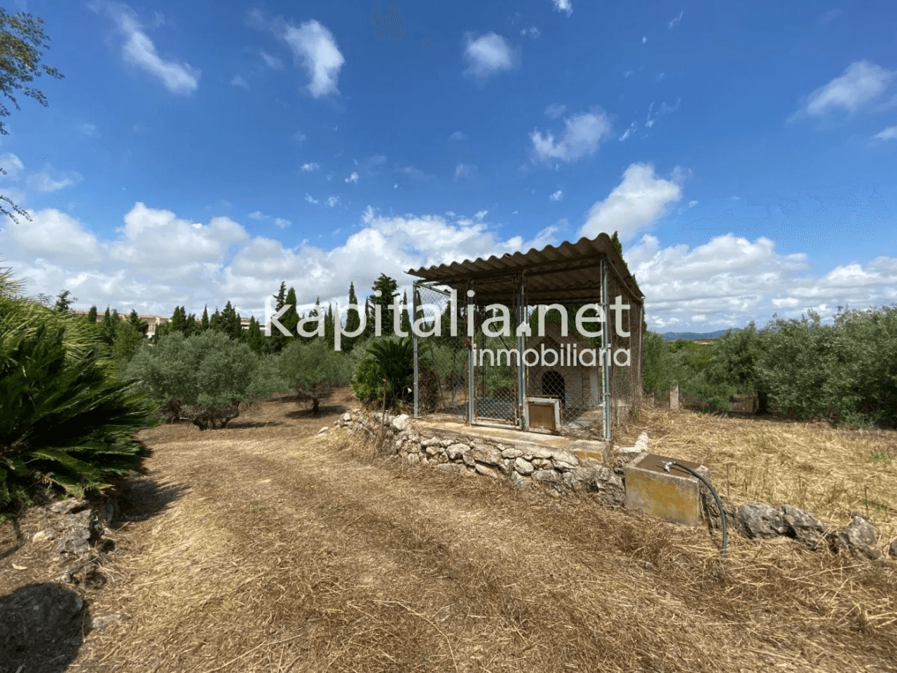 ESPECTACULAR FINCA A LA VENTA EN ALBAIDA