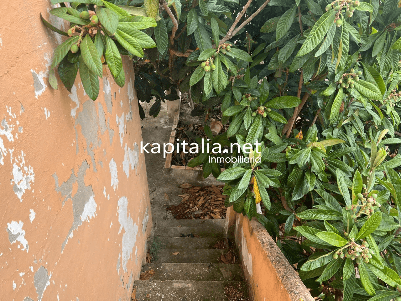 Casa de campo a la venta en Albaida