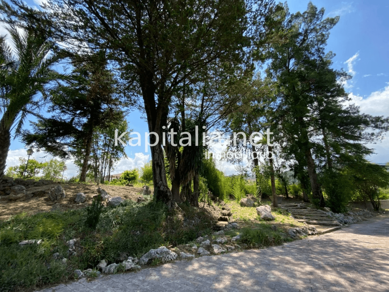 ESPECTACULAR FINCA A LA VENTA EN ALBAIDA