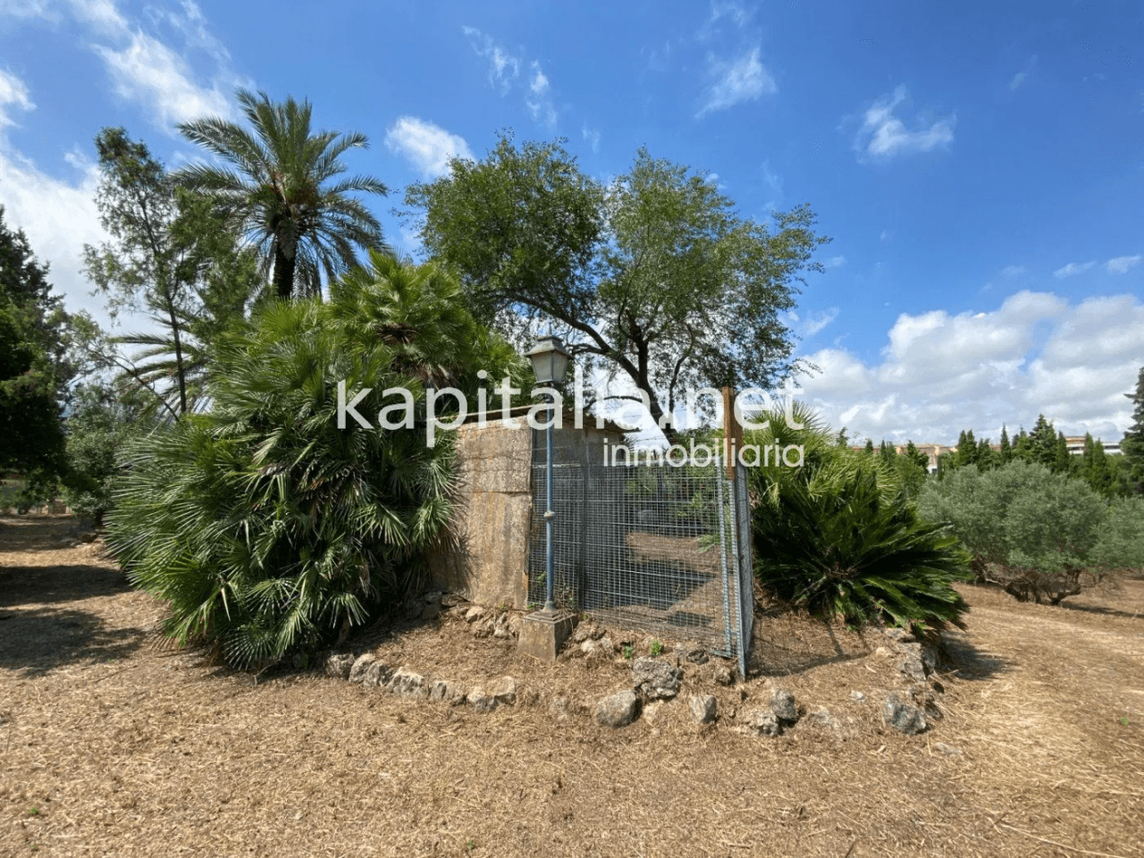 ESPECTACULAR FINCA A LA VENTA EN ALBAIDA