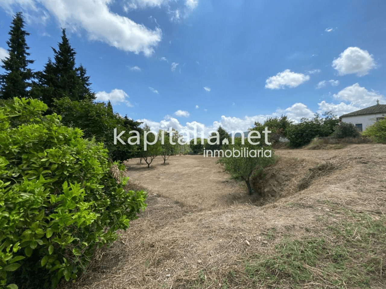 ESPECTACULAR FINCA A LA VENTA EN ALBAIDA