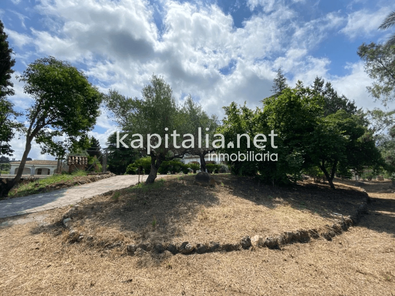 ESPECTACULAR FINCA A LA VENTA EN ALBAIDA