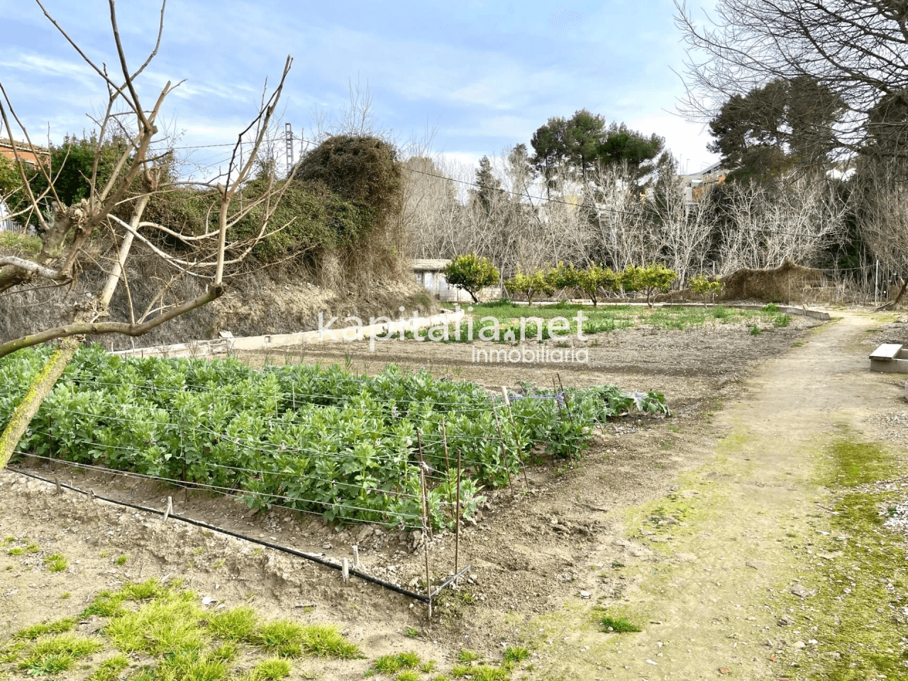 Casa de campo a la venta en Albaida
