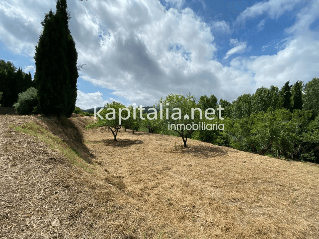 ESPECTACULAR FINCA A LA VENTA EN ALBAIDA