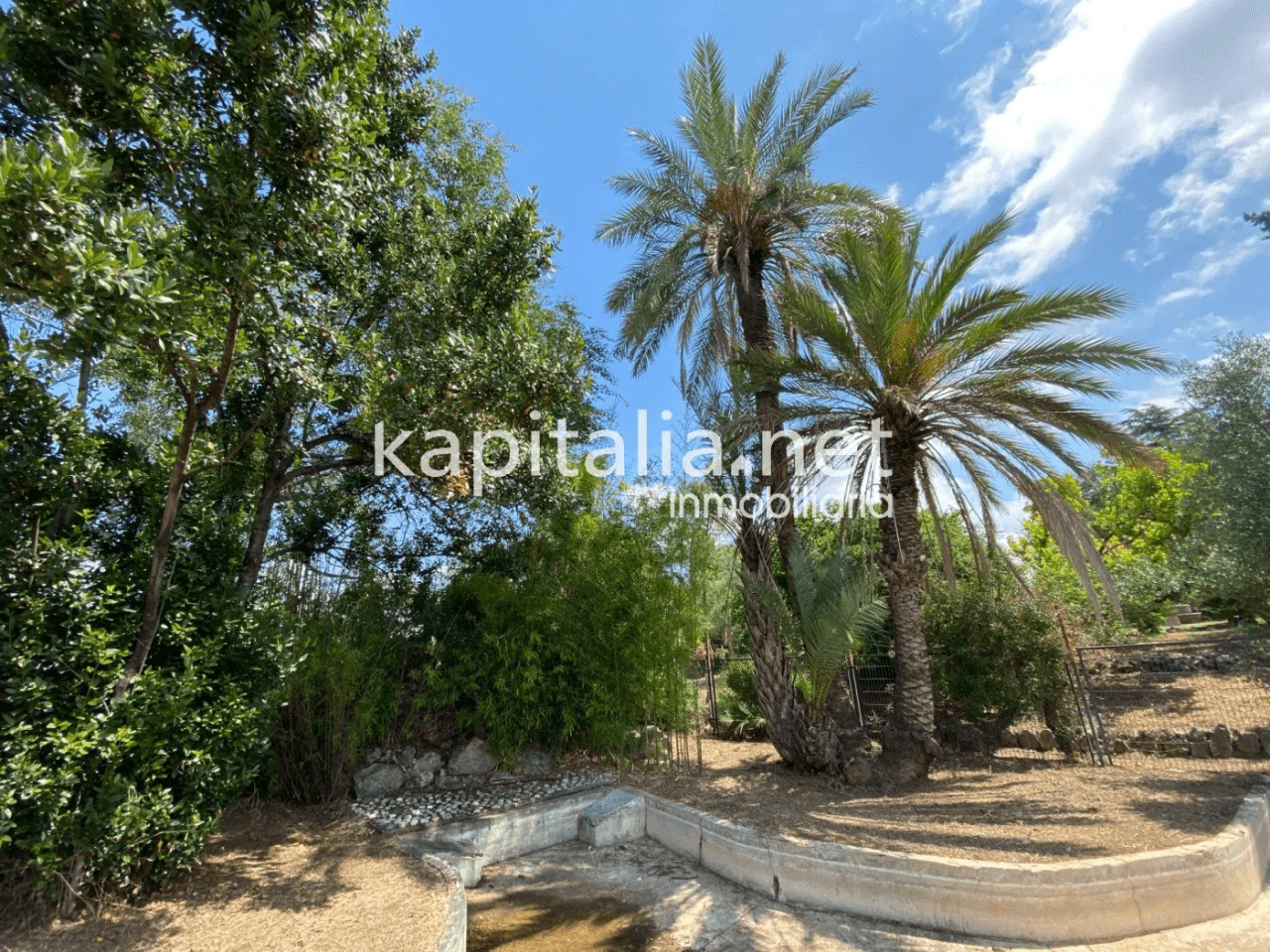 ESPECTACULAR FINCA A LA VENTA EN ALBAIDA