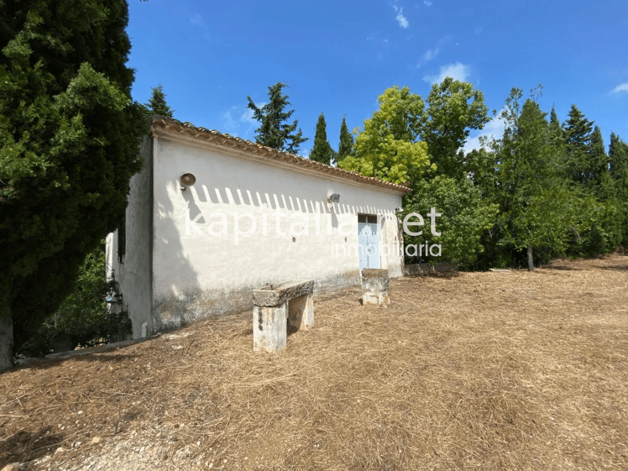 ESPECTACULAR FINCA A LA VENTA EN ALBAIDA