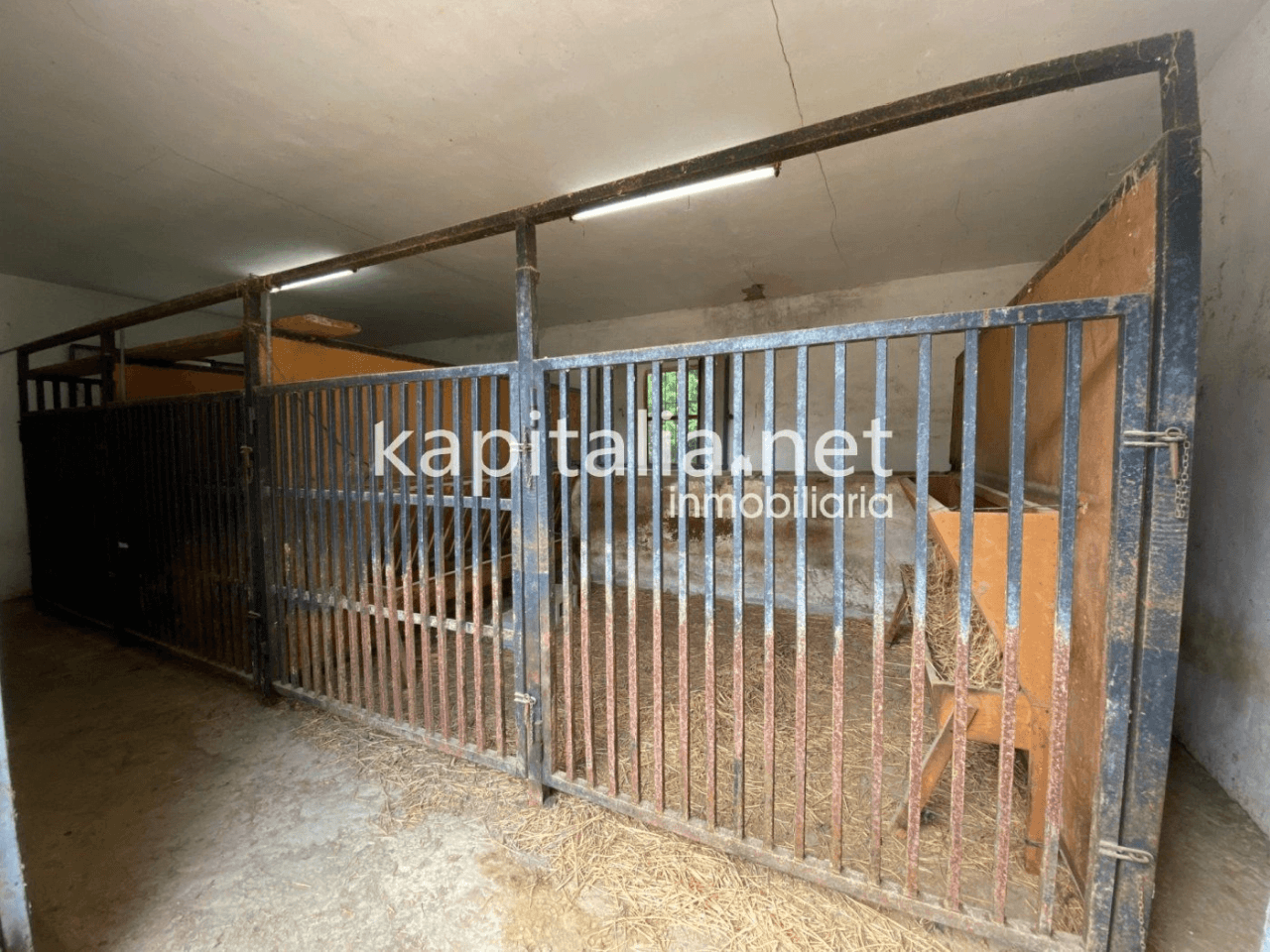 ESPECTACULAR FINCA A LA VENTA EN ALBAIDA