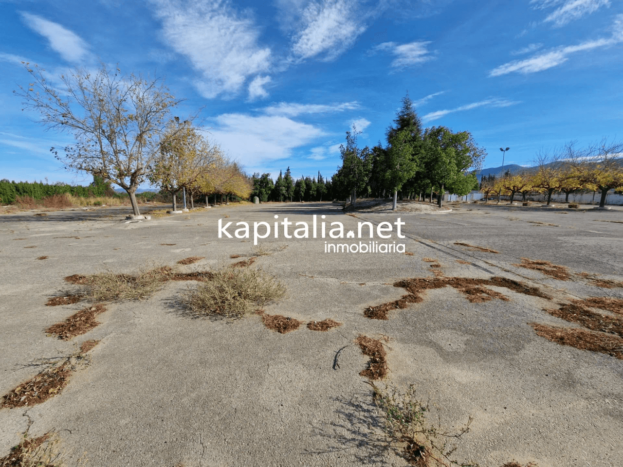 venta de propiedad destinada a Hostel e ocio en Palomar