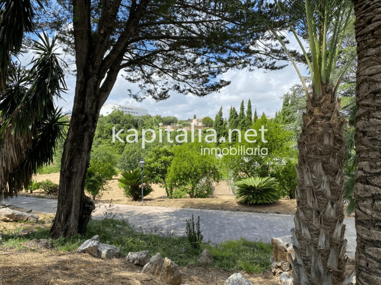 ESPECTACULAR FINCA A LA VENTA EN ALBAIDA