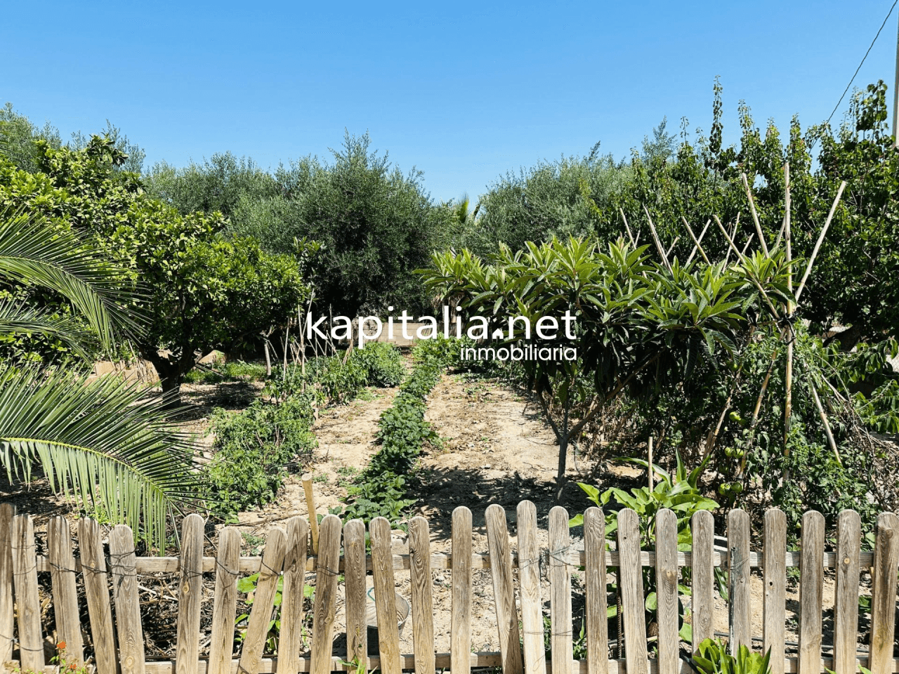 Very nice villa for sale in Ontinyent