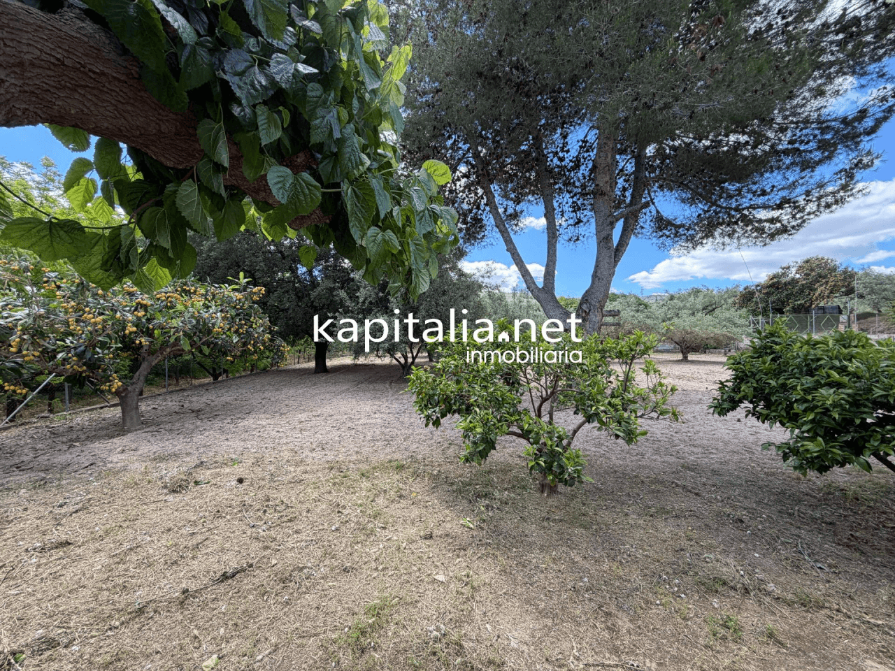 Villa for Sale in Ontinyent