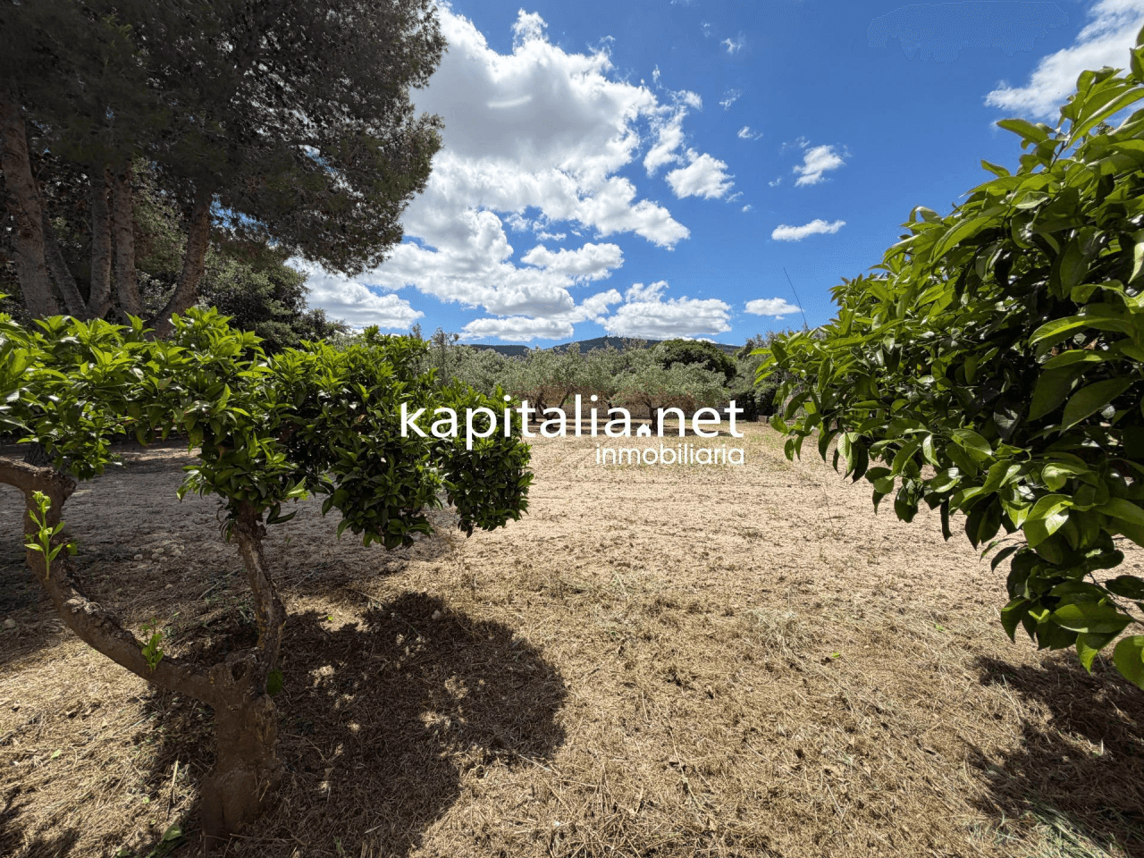 Villa for Sale in Ontinyent