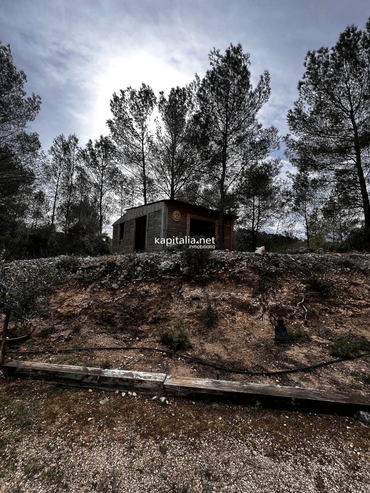 Terreno a la venta en Olleria