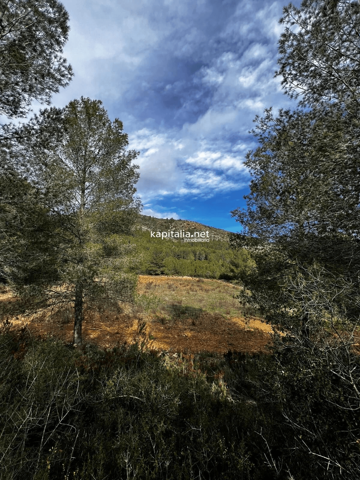 Terreno a la venta en Olleria