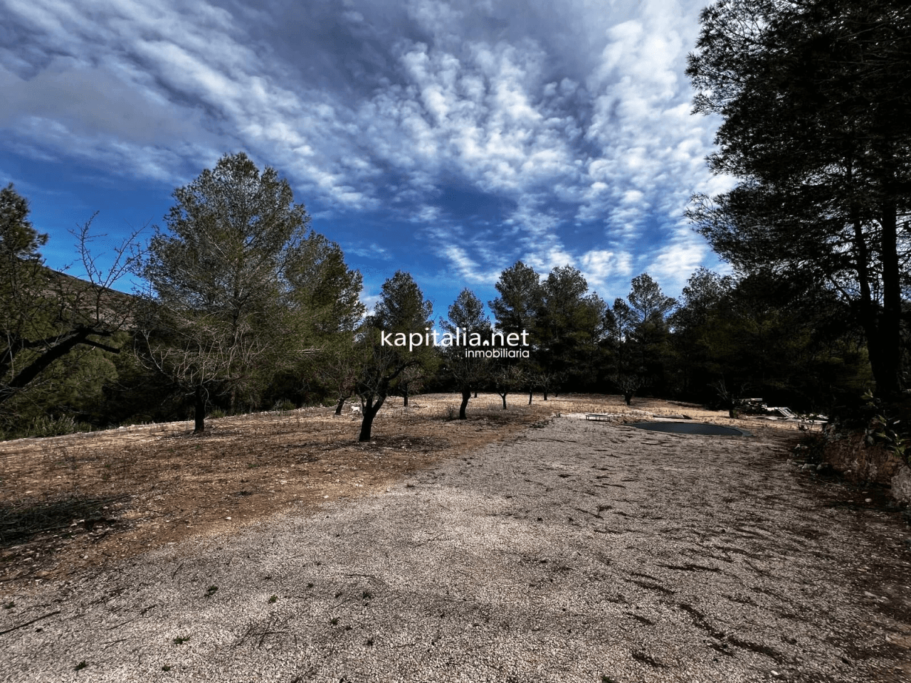 Terreno a la venta en Olleria