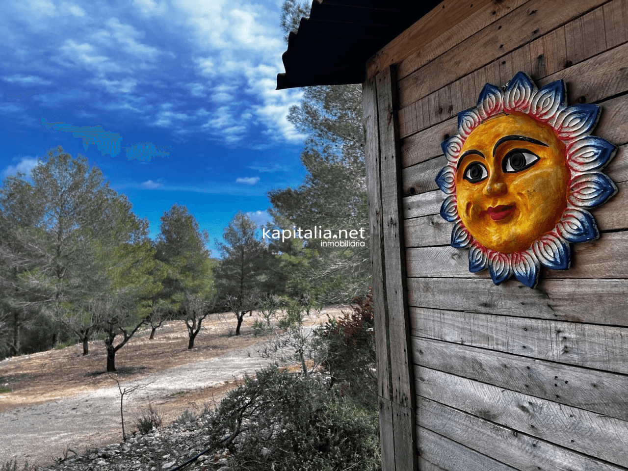 Terreno a la venta en Olleria