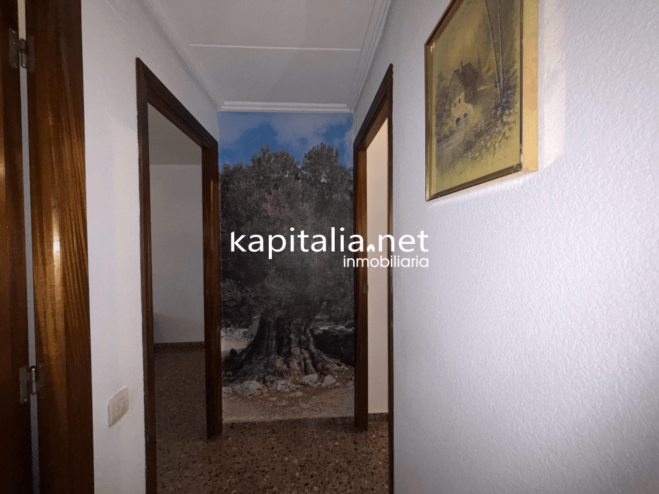 Propriété à Vente à Ontinyent