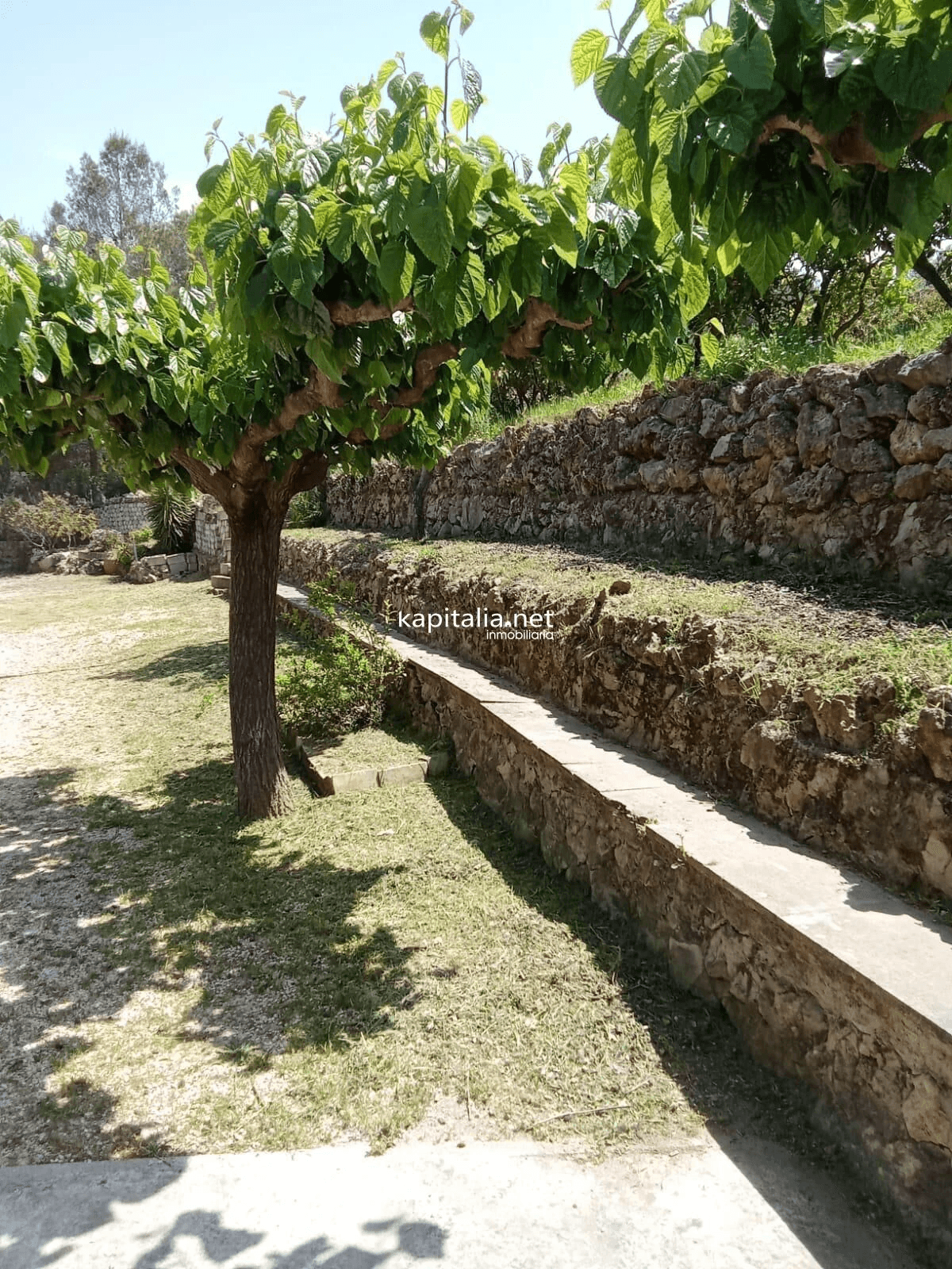 Villa a la venta en Albaida, Valencia