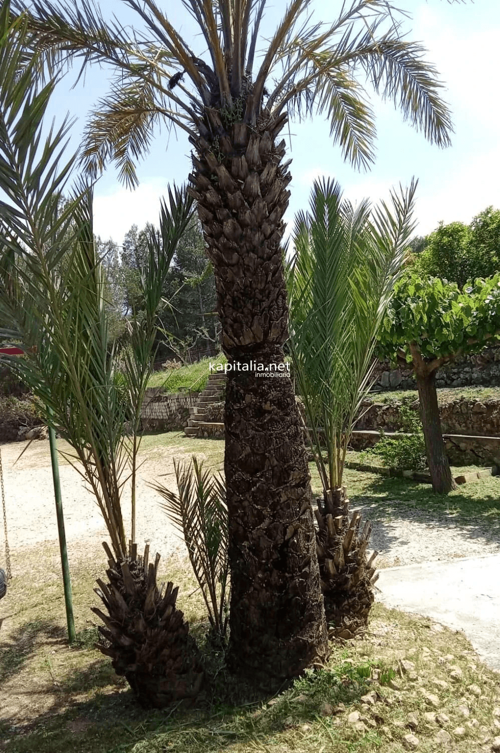 Villa a la venta en Albaida, Valencia