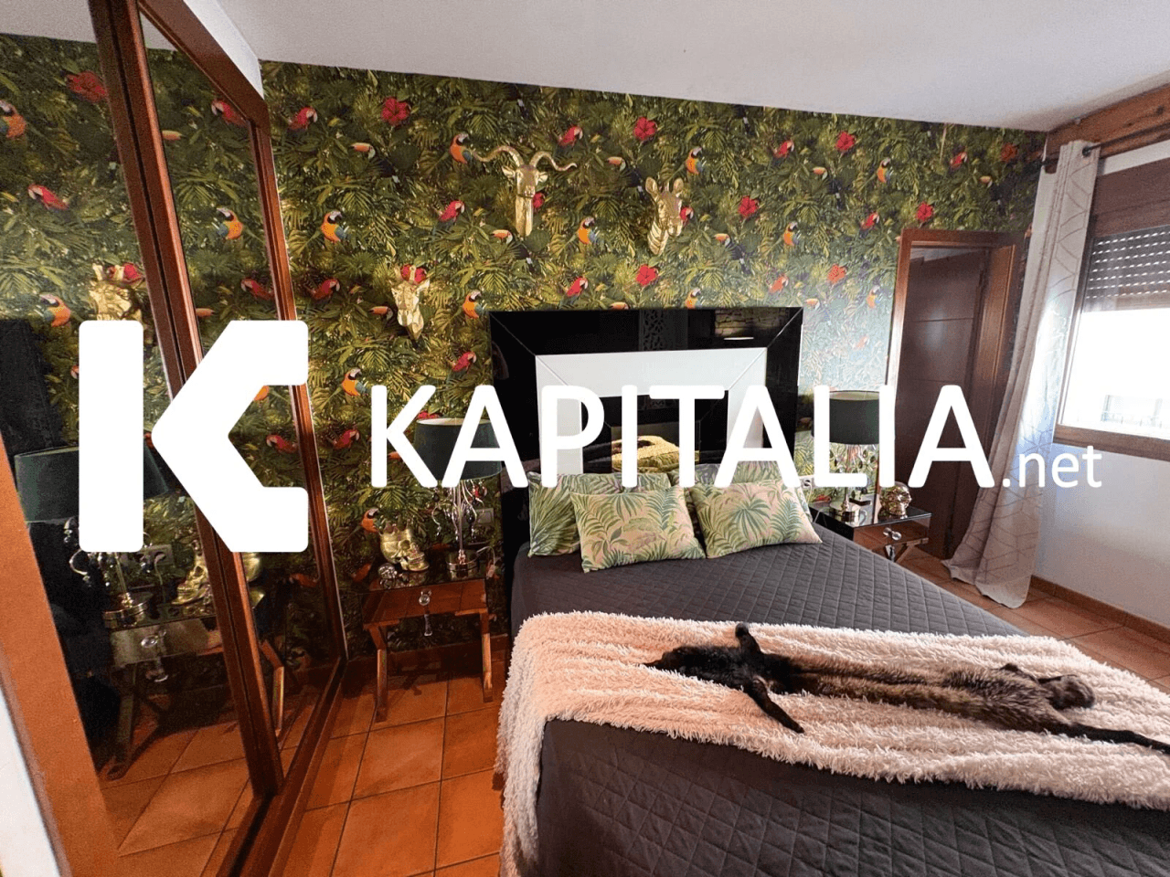 ESTUPENDA CASA ADOSADA LISTA PARA ENTRAR A VIVIR A LA VENTA EN GENOVES ( A TAN SOLO 5 MINUTOS DE XATIVA )