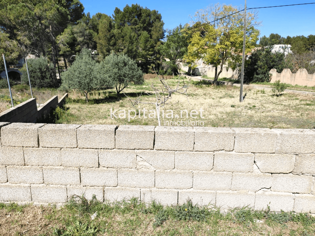 TERRENO URBANO A LA VENTA EN L´ALCUDIA DE CRESPINS.