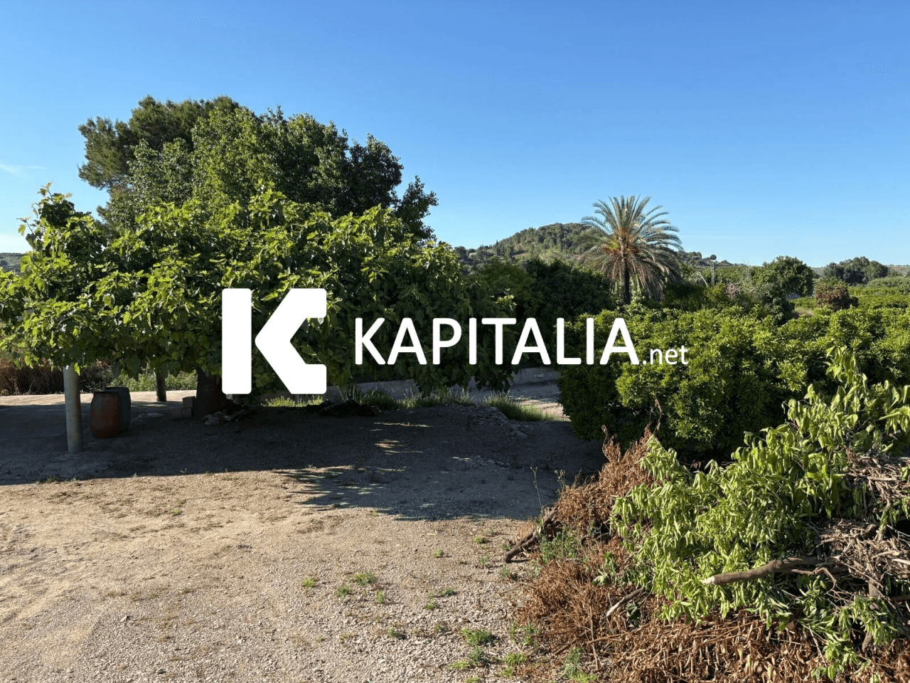 FINCA DE NARANJOS CON CASETA DE CAMPO A LA VENTA EN XATIVA