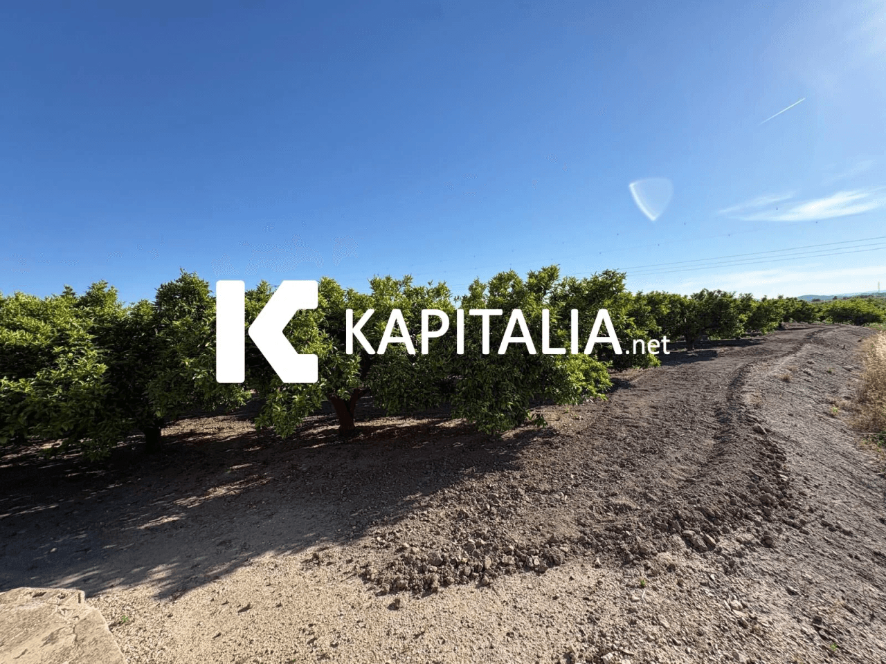 FINCA DE NARANJOS CON CASETA DE CAMPO A LA VENTA EN XATIVA