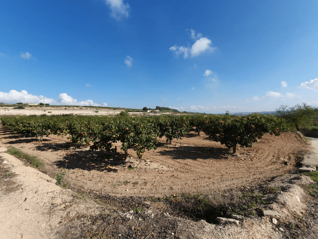 Parcela a la venta en Ontinyent