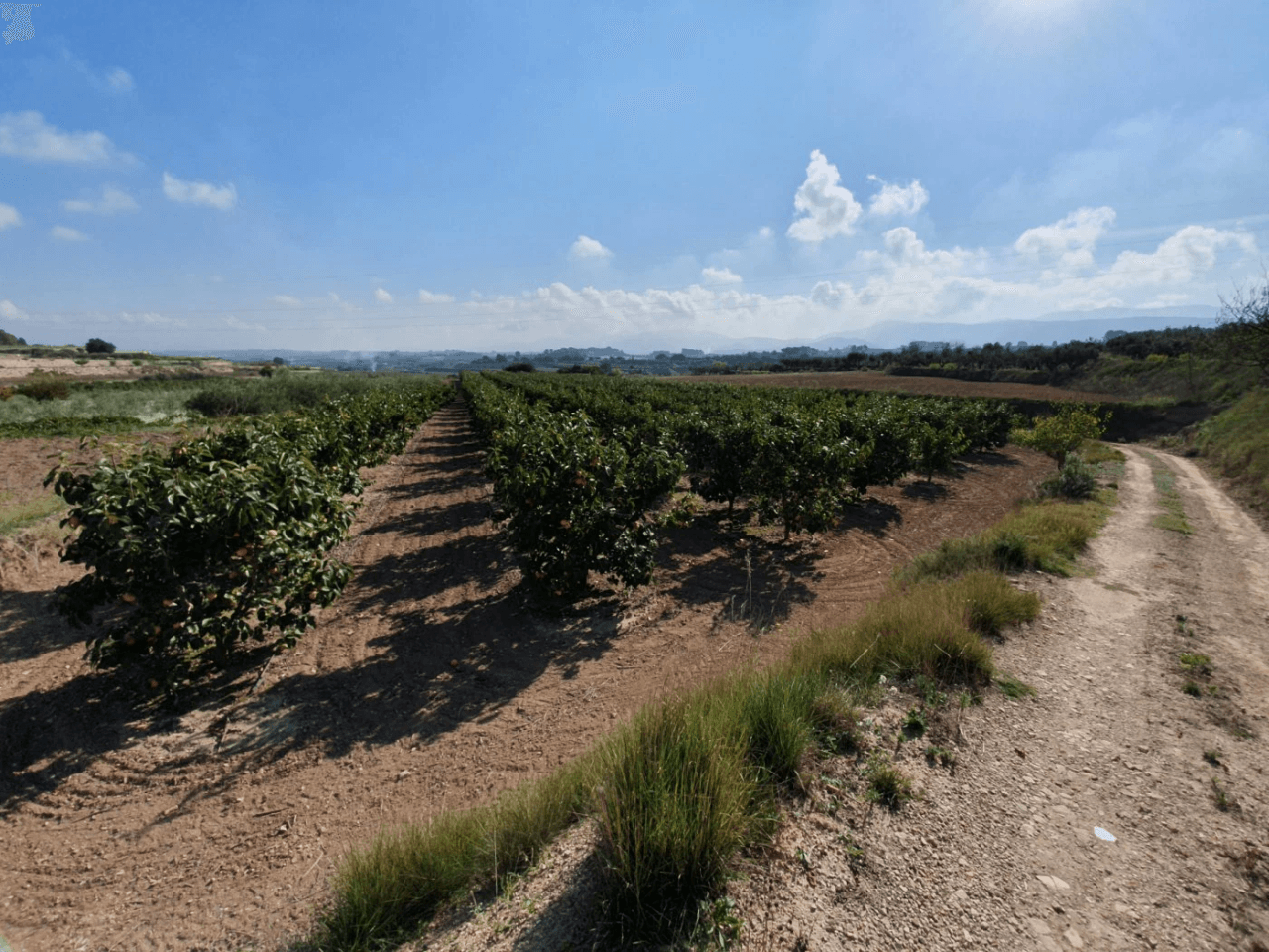 Parcela a la venta en Ontinyent