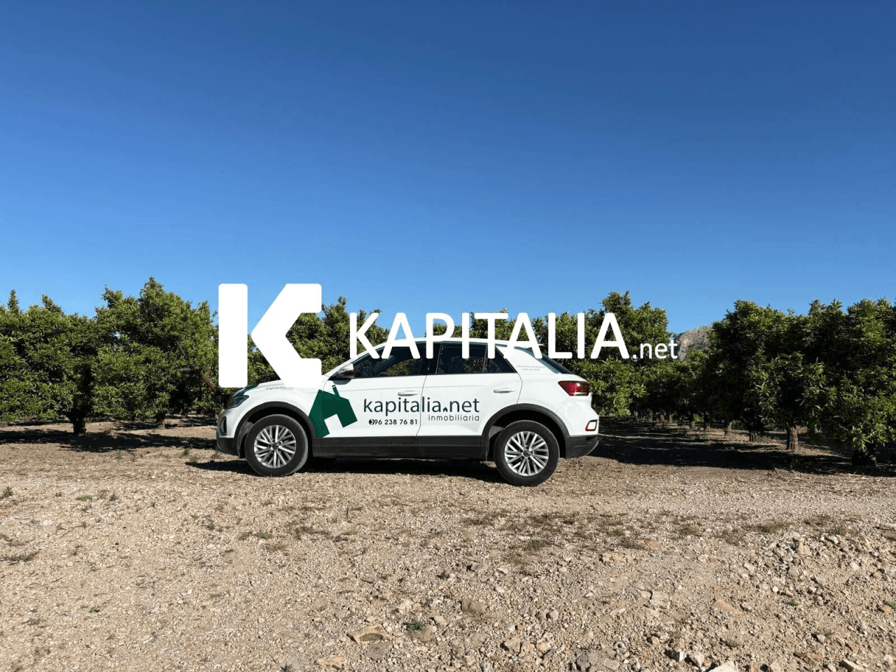 FINCA DE NARANJOS CON CASETA DE CAMPO A LA VENTA EN XATIVA