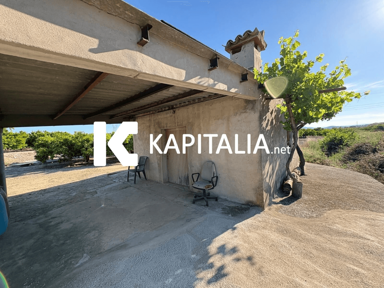 FINCA DE NARANJOS CON CASETA DE CAMPO A LA VENTA EN XATIVA