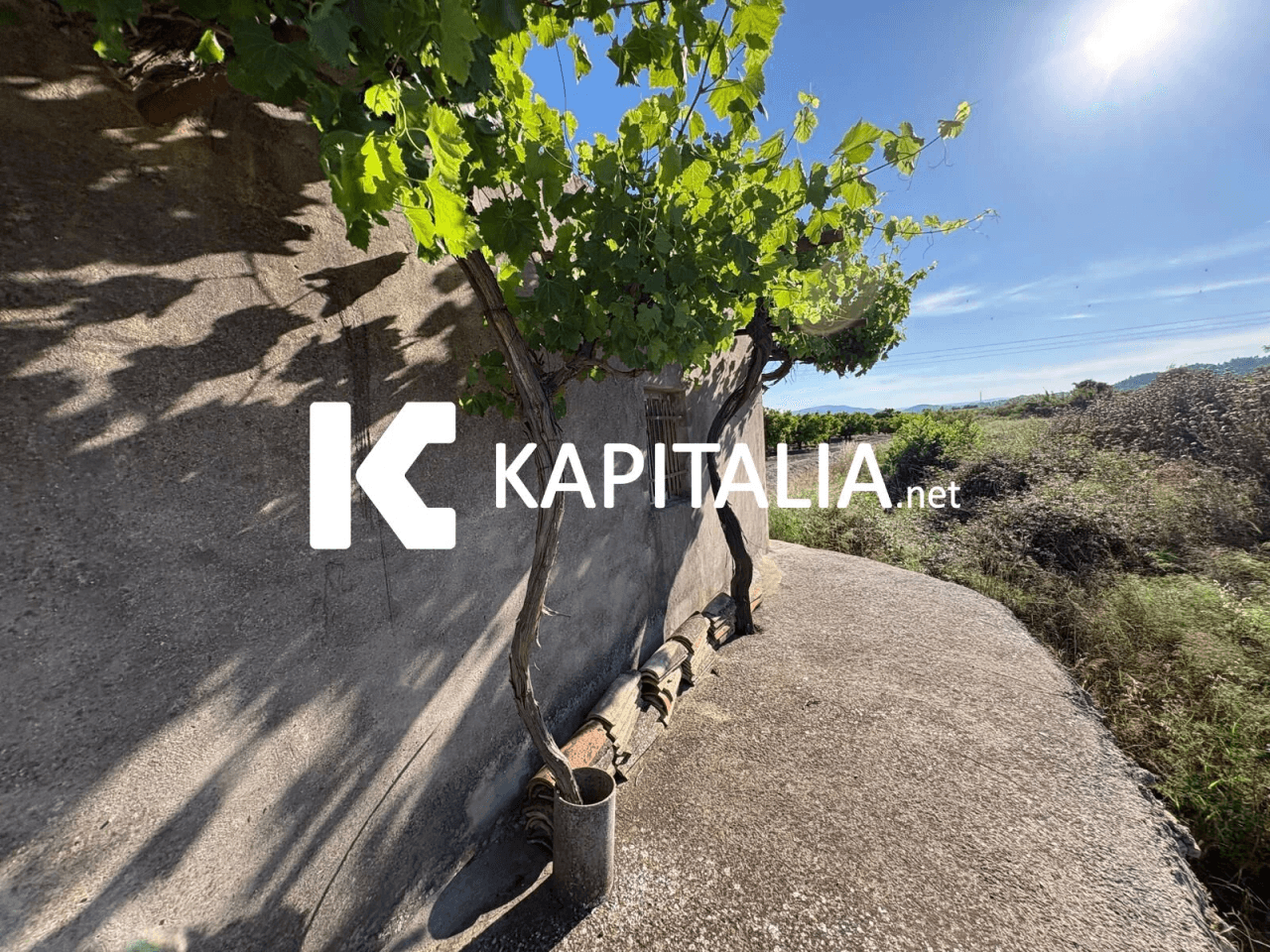 FINCA DE NARANJOS CON CASETA DE CAMPO A LA VENTA EN XATIVA