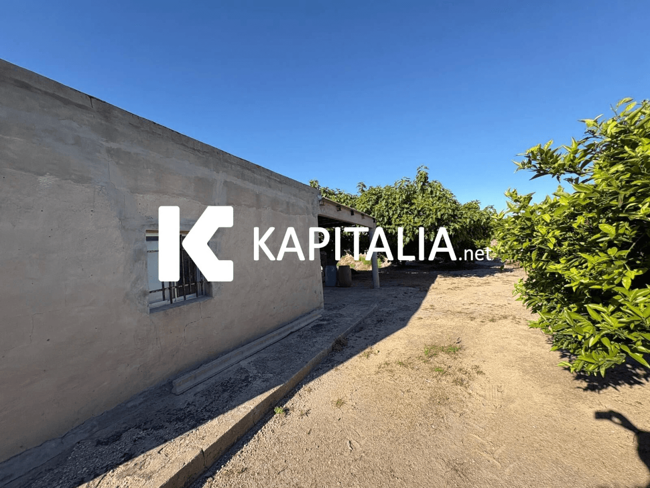 FINCA DE NARANJOS CON CASETA DE CAMPO A LA VENTA EN XATIVA