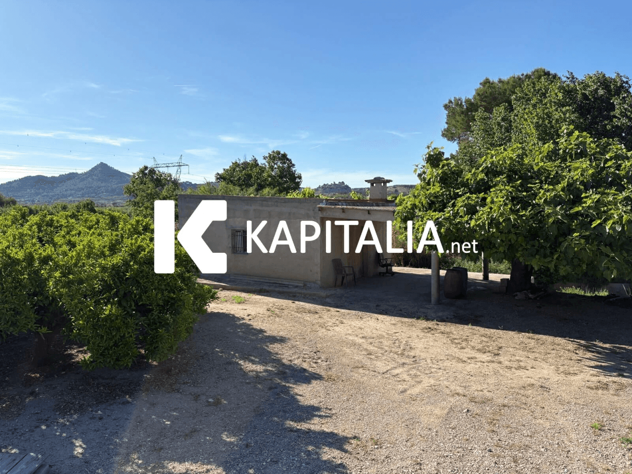 FINCA DE NARANJOS CON CASETA DE CAMPO A LA VENTA EN XATIVA