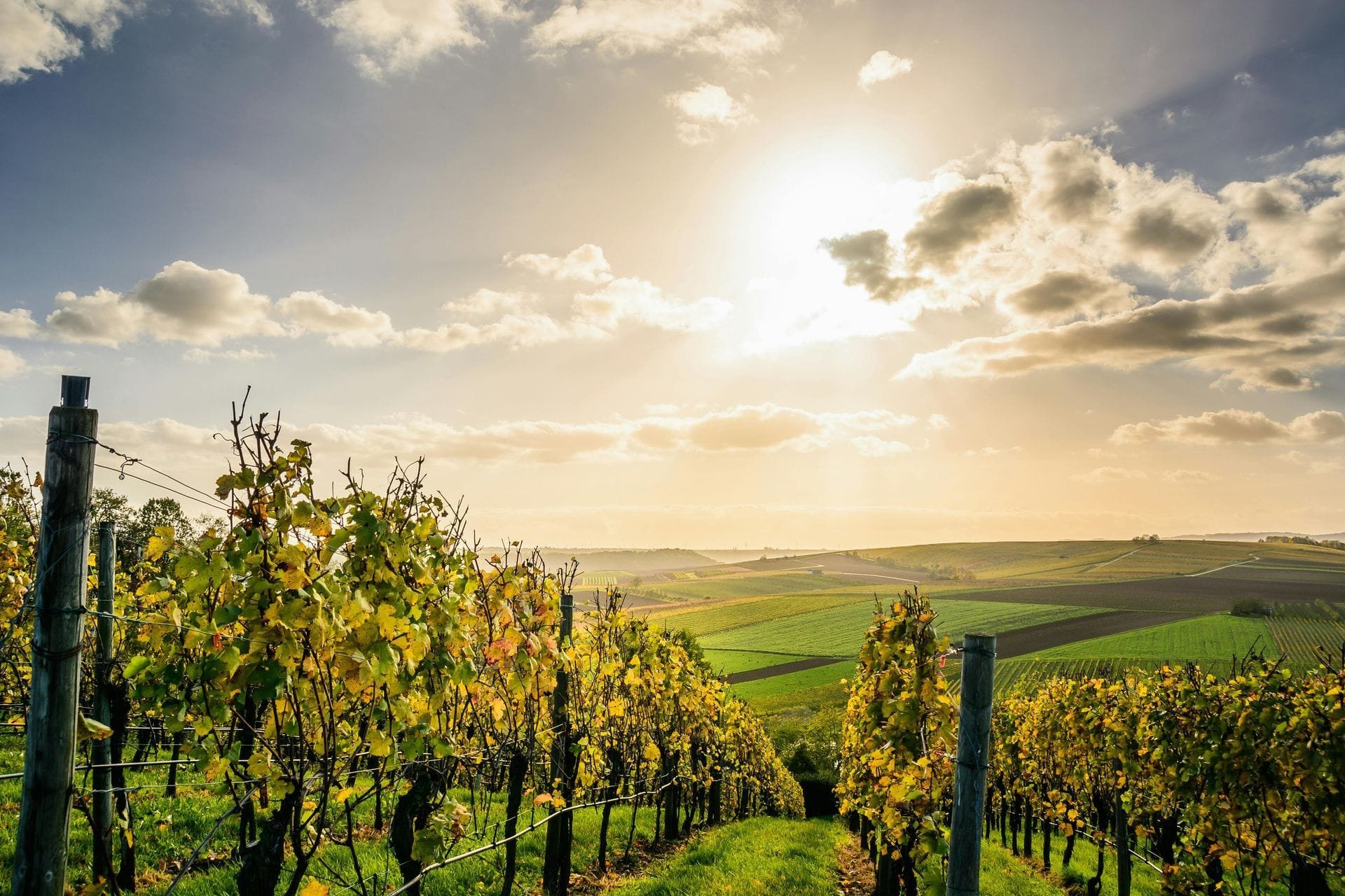 La toscana valenciana acapara los Premios Parker con sus vinos