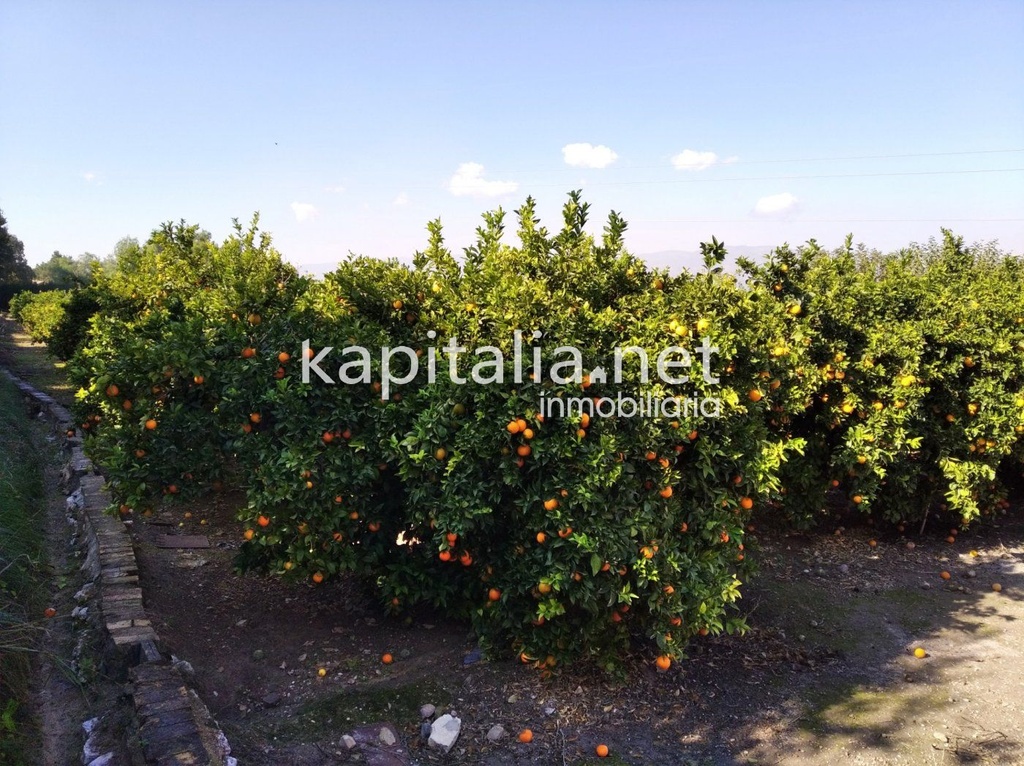 Terreno rustico a la venta en Ontinyent, zona Senda 5 Germans.