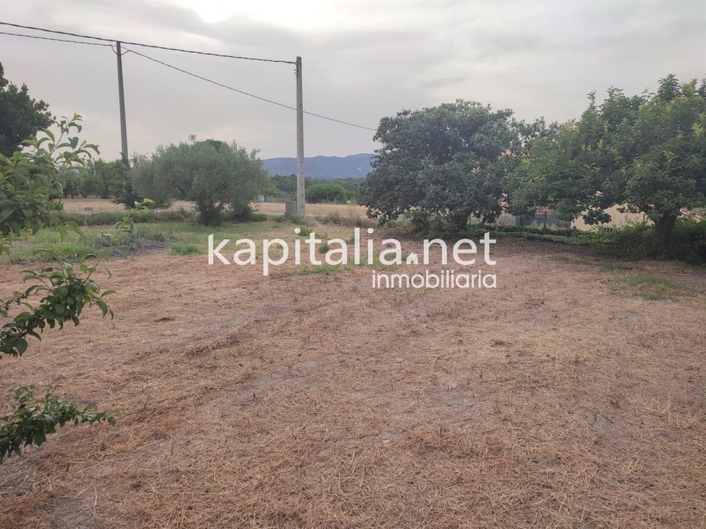LAND FOR SALE IN ONTINYENT, LOCATED IN THE AREA OF LLOMBO.