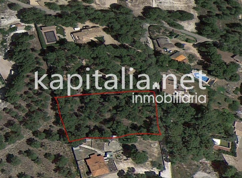 VENTA DE PARCELA URBANIZABLE EN ZONA TODOS VIENTOS