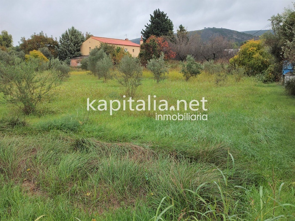 LAND FOR VEGETABLE GARDEN FOR SALE LOCATED IN EL LLOMBO.
