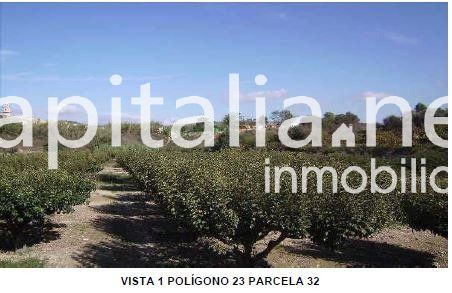 Terrenos rústicos a la venta en Bocairent (Valencia)