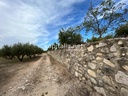 Parcela a la venta en Agullent