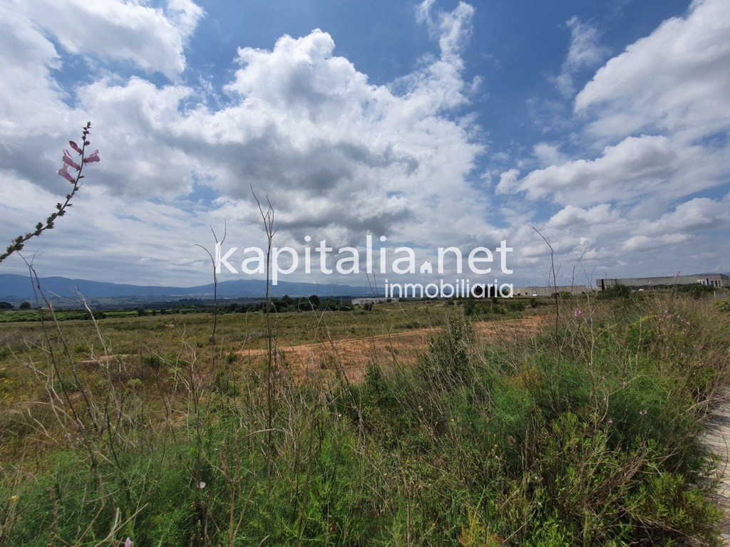 Terreno industrial a la venta en Olleria.