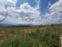 Industrial land for sale in Olleria.