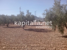 Terreno a la venta en Termino de Banyeres