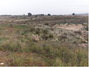 Terreno rustico a la venta en Alfarrasi (Valencia)