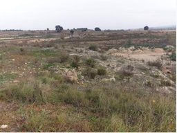 Finca rústica a la venta en Alfarrasí (Valencia)