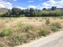 PLOT FOR SALE IN ONTINYENT, LOCATED IN THE LLOMBO AREA.