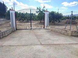 LAND FOR SALE IN ONTINYENT LOCATED IN EL LLOMBO AREA.