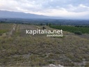 Finca rustica a la venta en la Pobla del duc